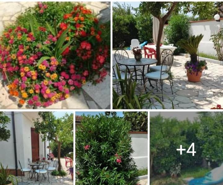Villa Dafne Mare Fondi Sperlonga Exteriör bild
